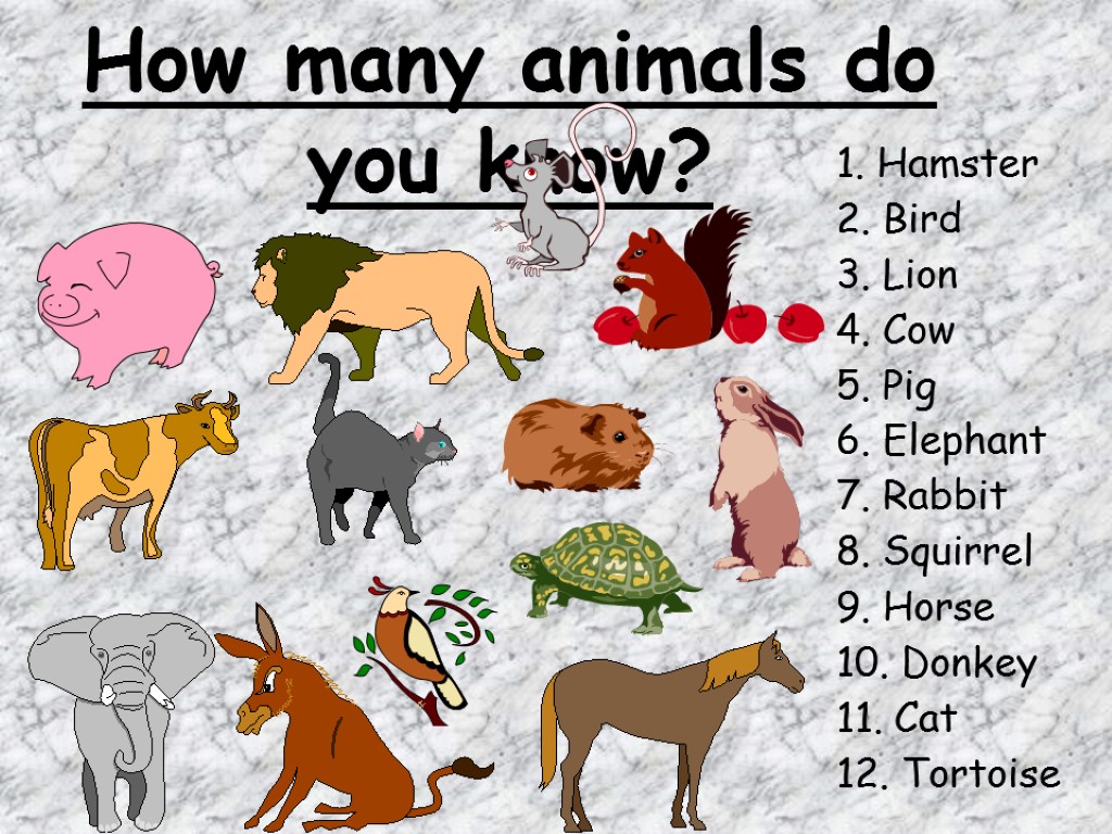 How many animals do you know? 1. Hamster 2. Bird 3. Lion 4. Cow